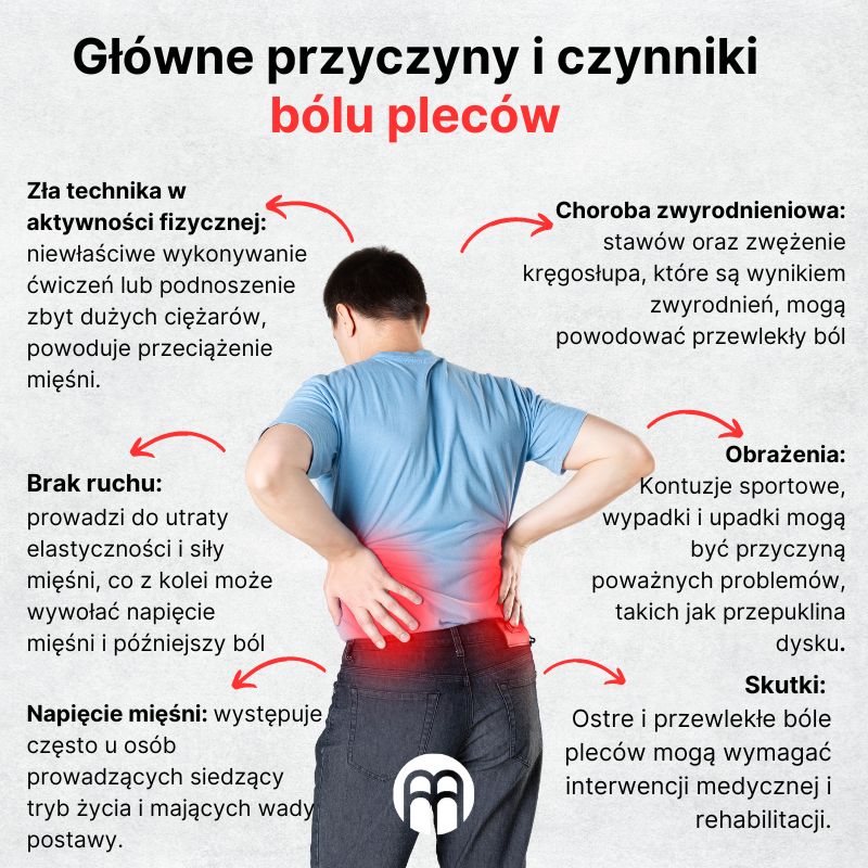 (Polština) Hlavní příčiny a faktory bolesti zad